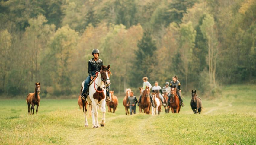 TURISMO EQUESTRE